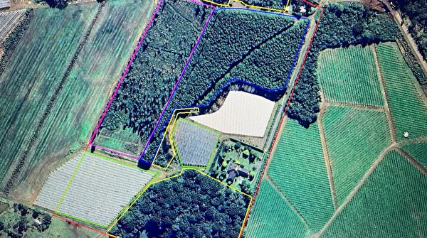 Fazenda em Fraiburgo